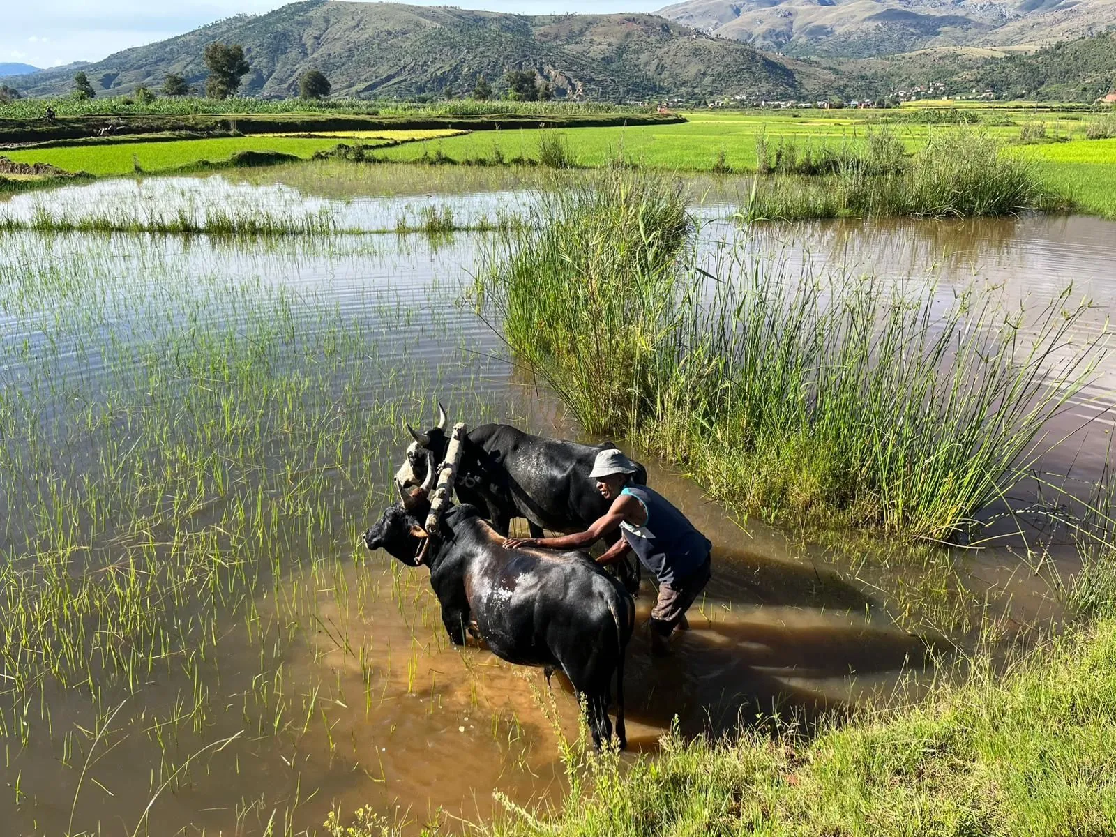 paysage madagascar : projet eveil 2025